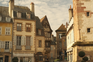 Enlèvement arbre urgence Rodez